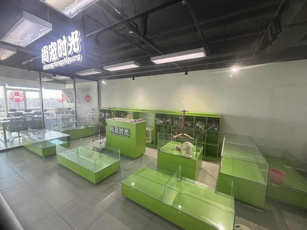 Pet Interactive Amusement - main product view