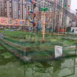 Kids' Physical Expansion Play - close-up details