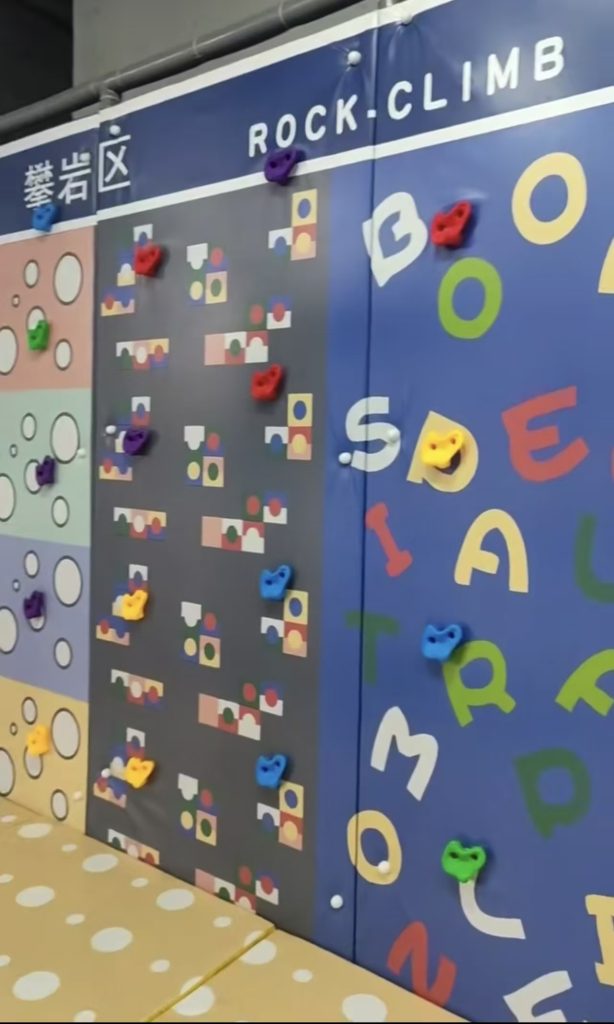 660sqm purple indoor playground colorful rock climbing wall - GO2AMUSE
