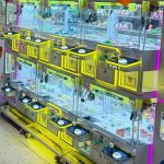 Claw Machine - detailed features